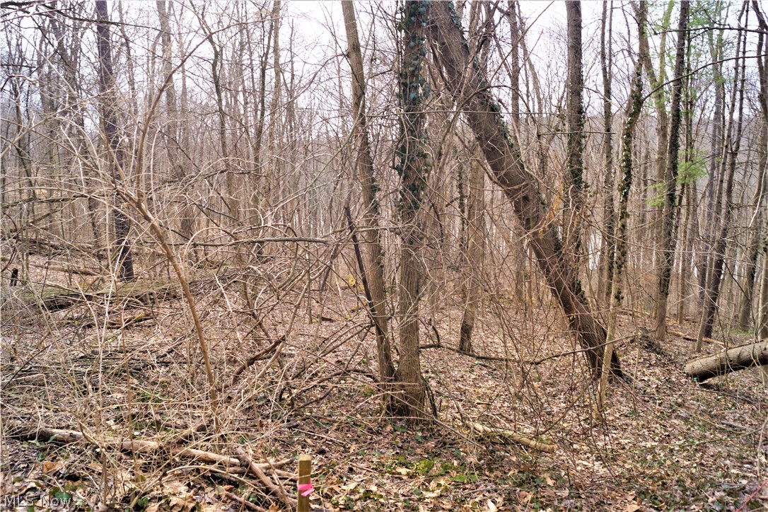 Rockwood Park - Residential