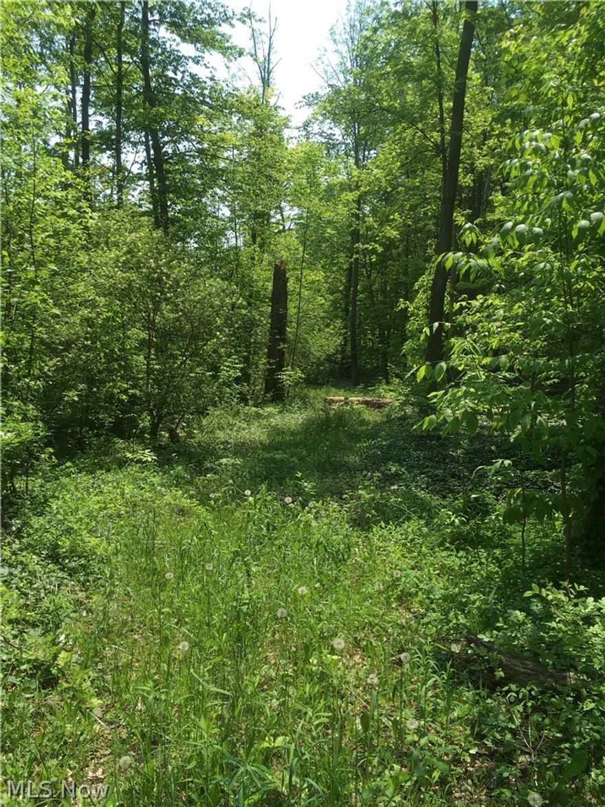 Unique 10 acre lot • Wooded, secluded • Large pond with island • Small creek running through • Wildlife everywhere • Park-like beauty See to believe.