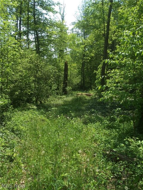Vacant Land For Sale - Fowlers Mill Road<br/> Geauga County, Chardon, OH 44024