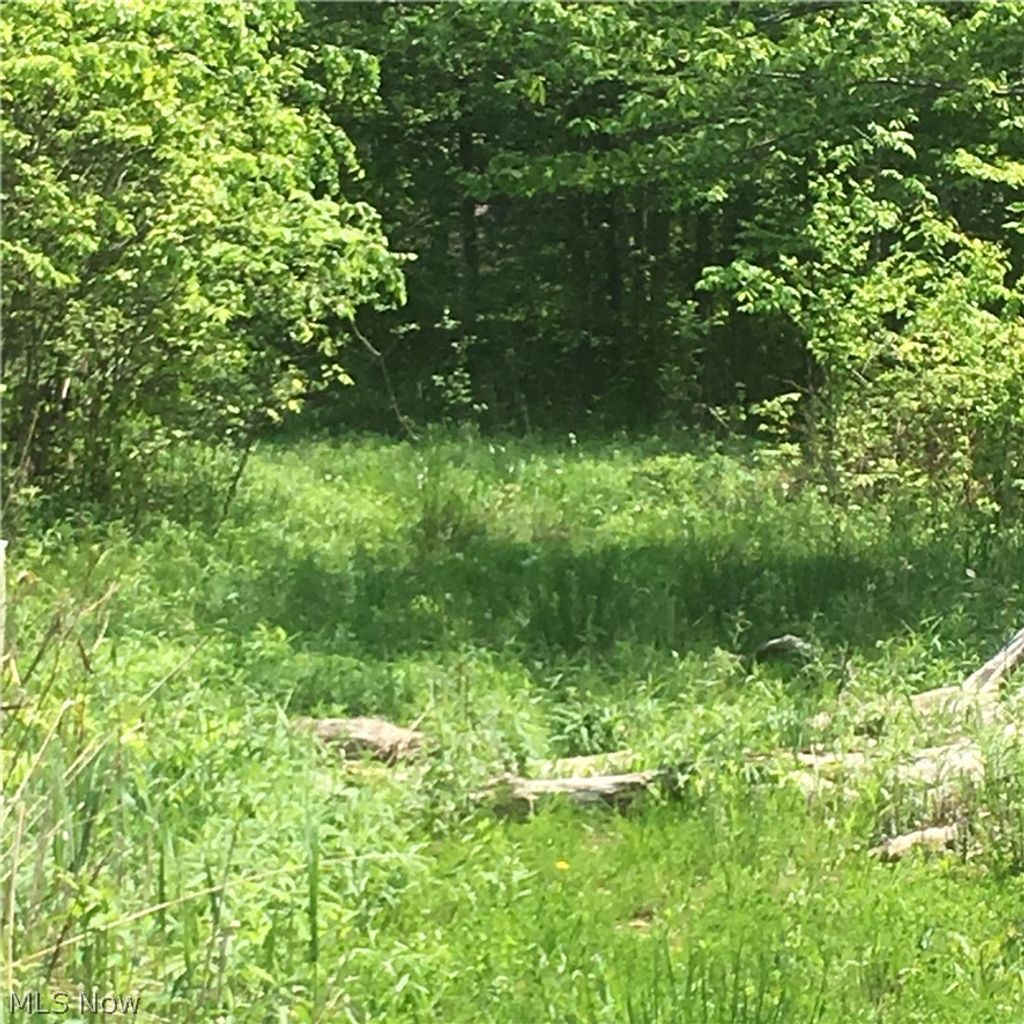 Photo of 0 Fowlers Mill Road, Chardon, OH 44024 (MLS # 5192241)