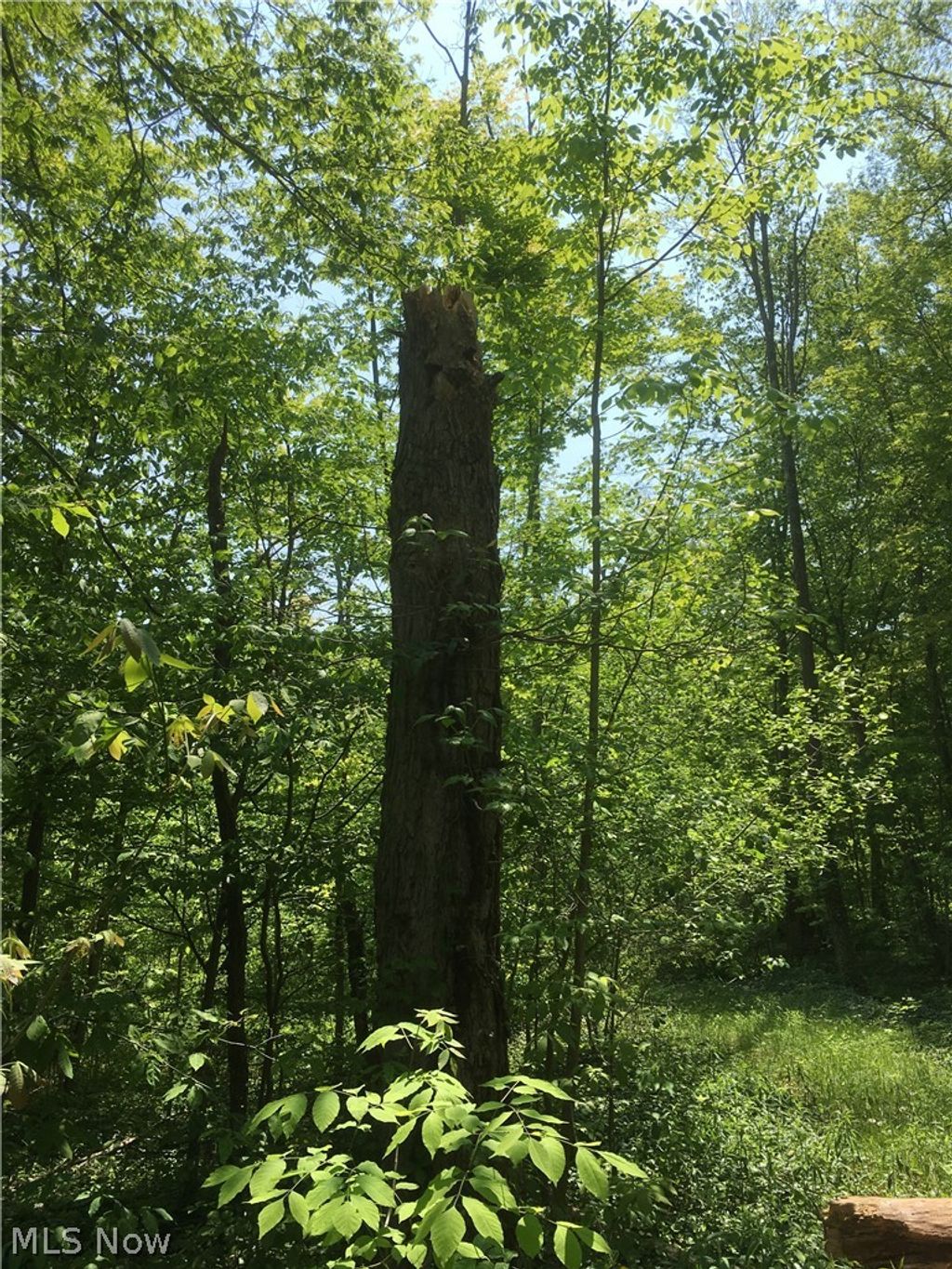 Photo of 0 Fowlers Mill Road, Chardon, OH 44024 (MLS # 5192241)