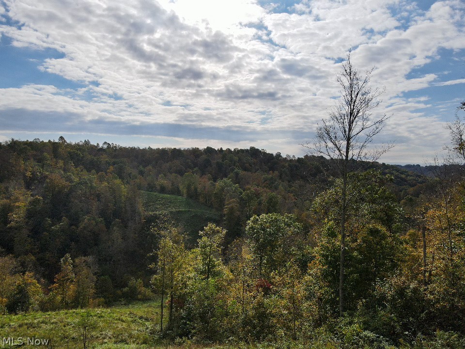 Selling 81 acres of excellent hunting/recreational land with proven results! If you a are still looking for a place to get your trophy this season here is your chance. You will have Immediate hunting rights upon down payment. The land is mostly wooded and rugged with young timber and trails throughout. With the stream running through the middle of the land it has everything it needs to attract wildlife. Some great lookout points and wildlife galore!