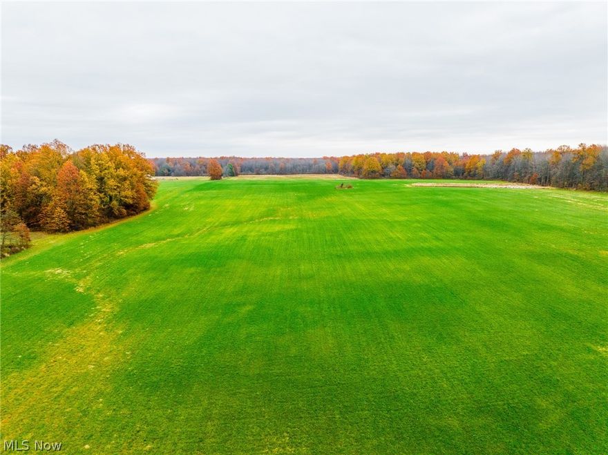 Parcel #2 or 3: 8.5 acres, open tillable or building lot. 
This prime bare land near Bristolville, Ohio offers a rare opportunity to invest in a versatile property with both immediate appeal and lasting value. With generous acreage, a desirable location, and a balanced mix of wooded areas and open fields, it provides the perfect setting to build your dream home, create a private hunting retreat, establish productive farmland, or secure a legacy investment for future generations. Selling at auction, this property presents a timely chance to purchase quality land at the right moment and enjoy the flexibility, privacy, and long-term potential it has to offer.