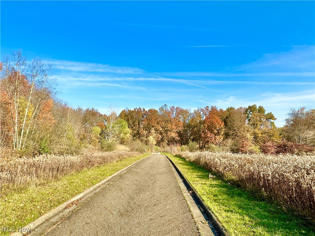 Ranfield Road, Kent, Ohio image 6