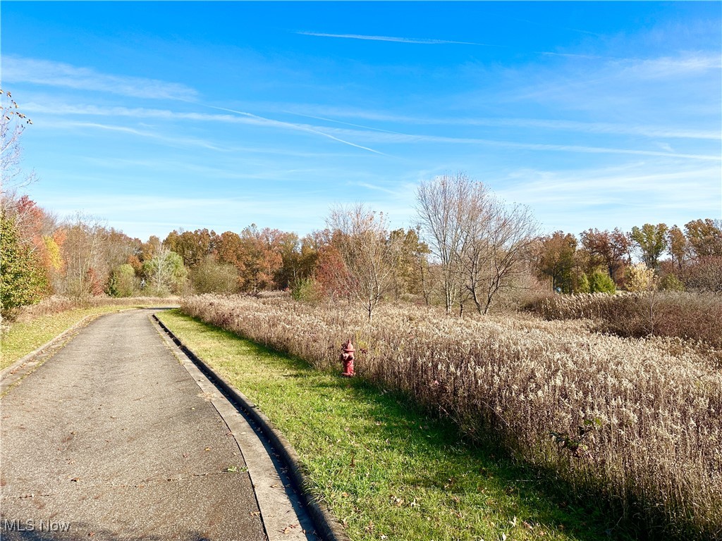 Ranfield Road, Kent, Ohio image 5