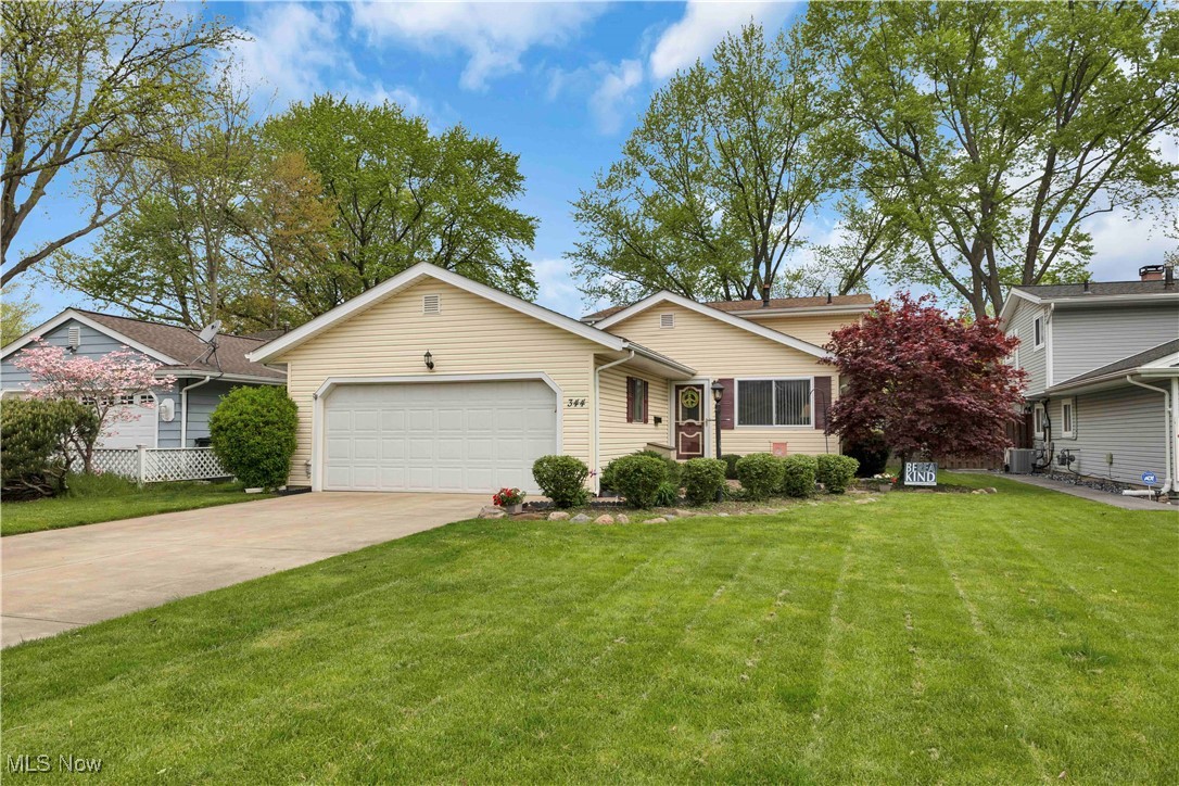344 Butternut Lane