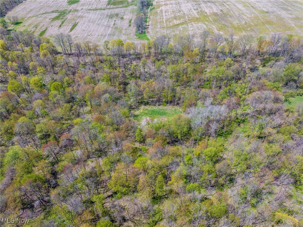2376 Township Road 1025, Perrysville, Ohio image 47