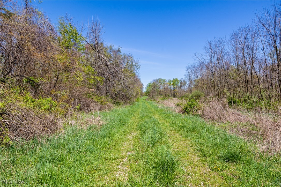 2376 Township Road 1025, Perrysville, Ohio image 40