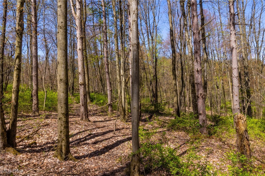 2376 Township Road 1025, Perrysville, Ohio image 10