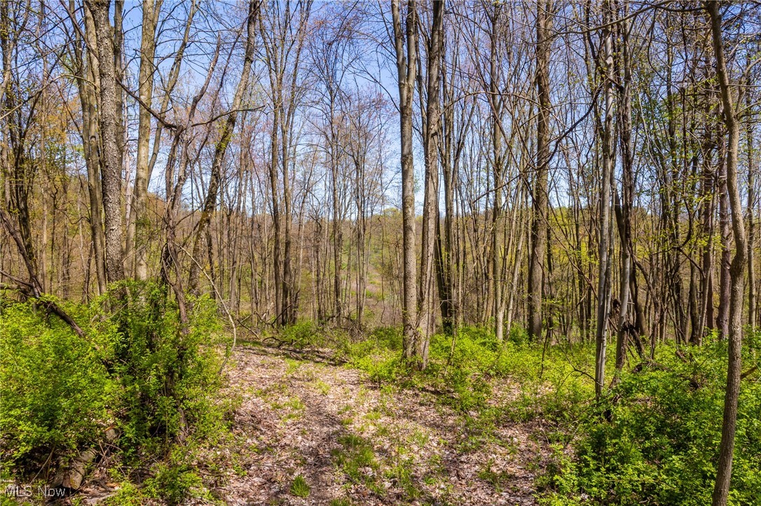 2376 Township Road 1025, Perrysville, Ohio image 13