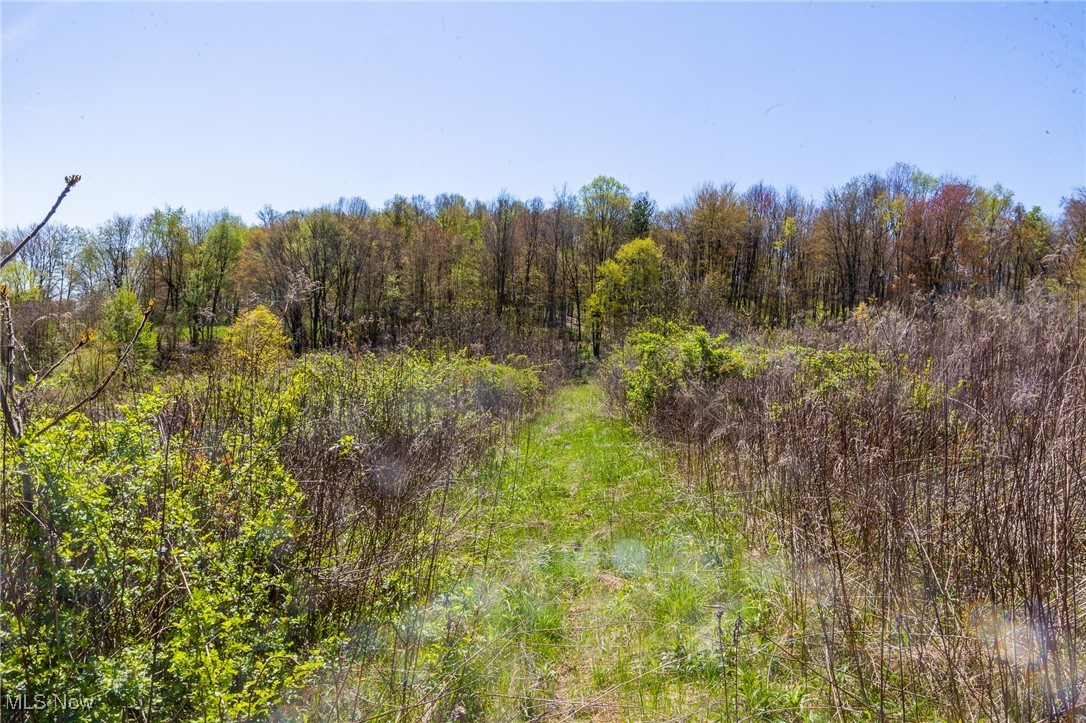2376 Township Road 1025, Perrysville, Ohio image 5