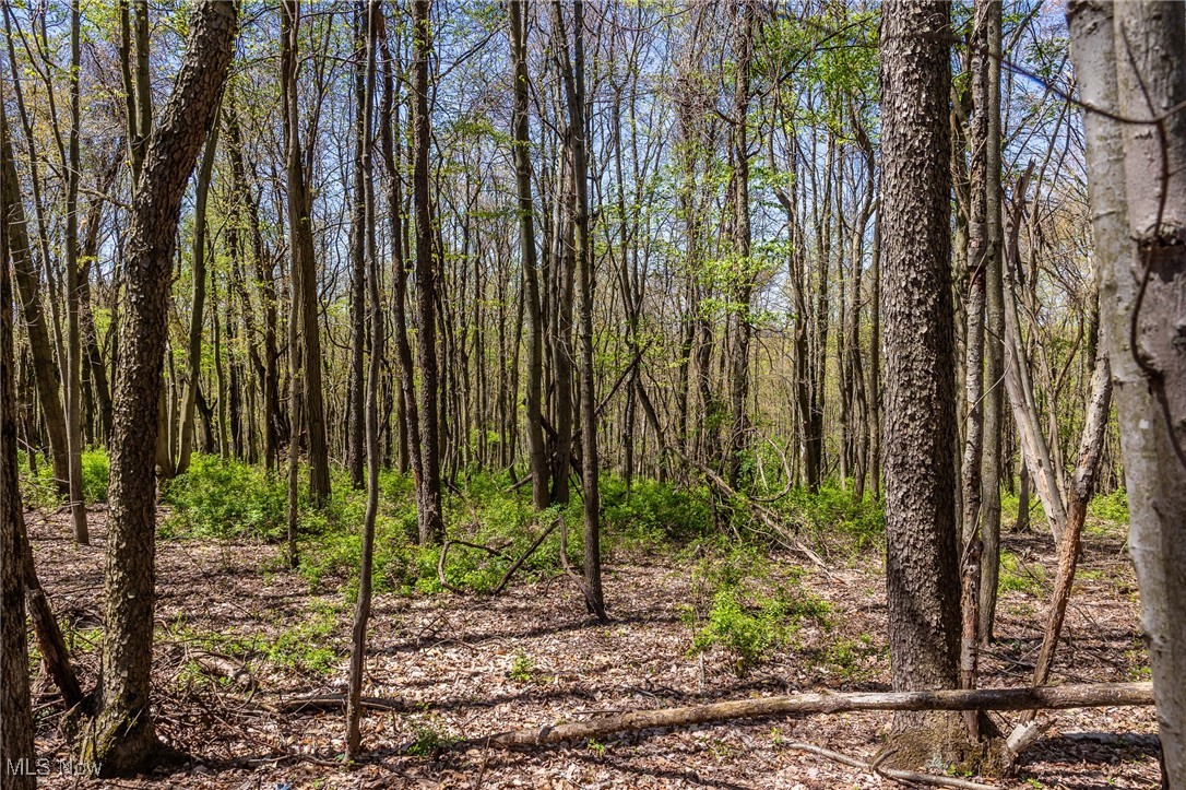 2376 Township Road 1025, Perrysville, Ohio image 43