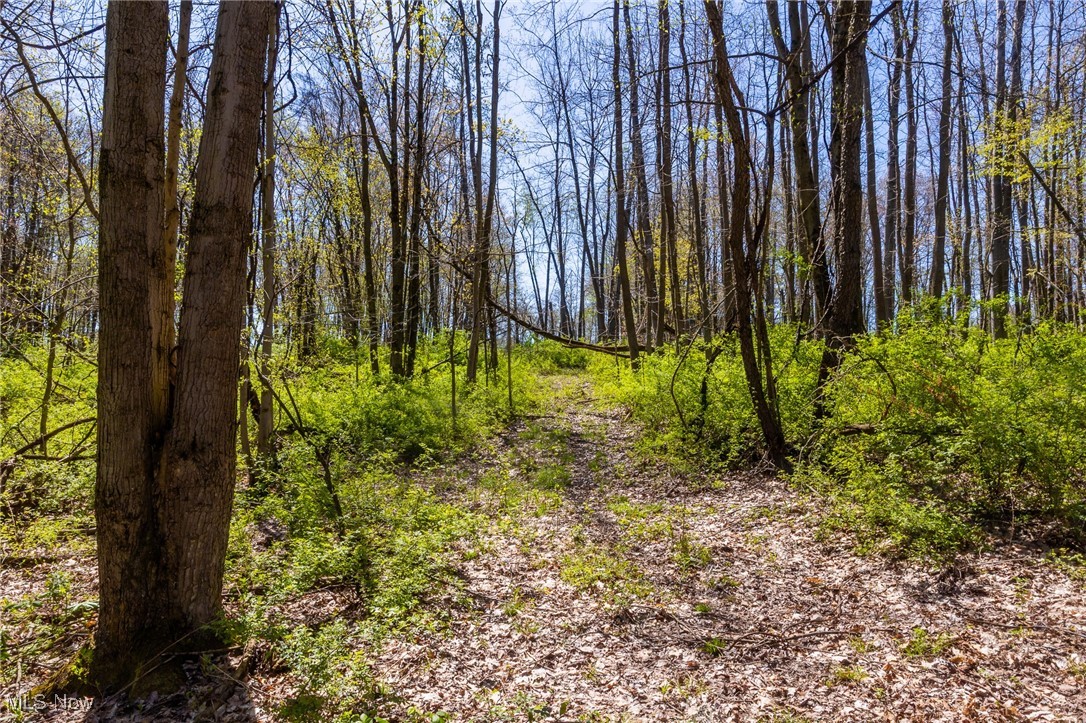 2376 Township Road 1025, Perrysville, Ohio image 12