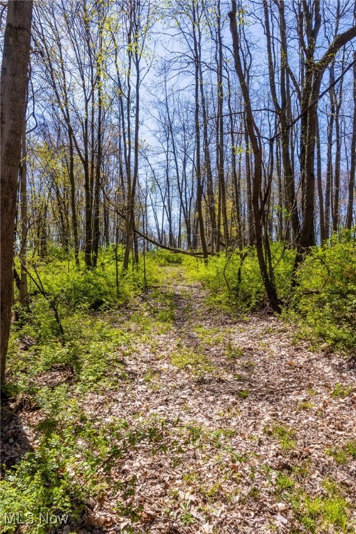 2376 Township Road 1025, Perrysville, Ohio image 11