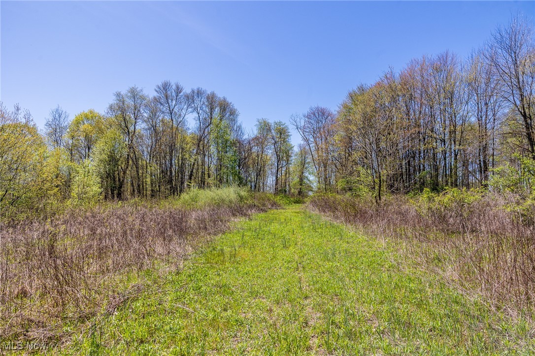 2376 Township Road 1025, Perrysville, Ohio image 21