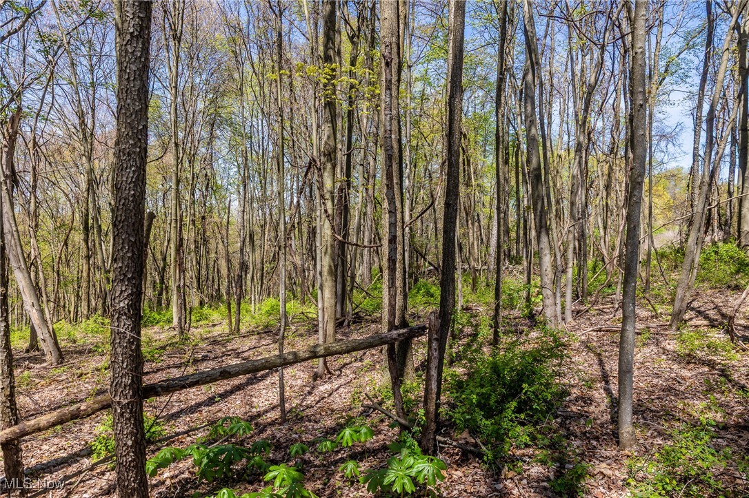 2376 Township Road 1025, Perrysville, Ohio image 44