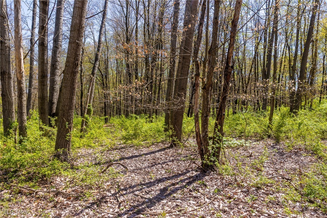 2376 Township Road 1025, Perrysville, Ohio image 16