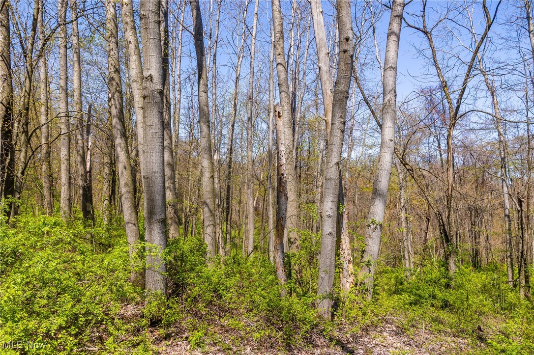 2376 Township Road 1025, Perrysville, Ohio image 15