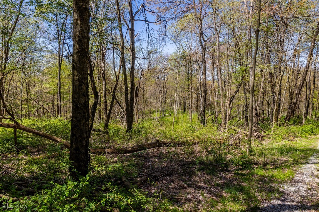 2376 Township Road 1025, Perrysville, Ohio image 35