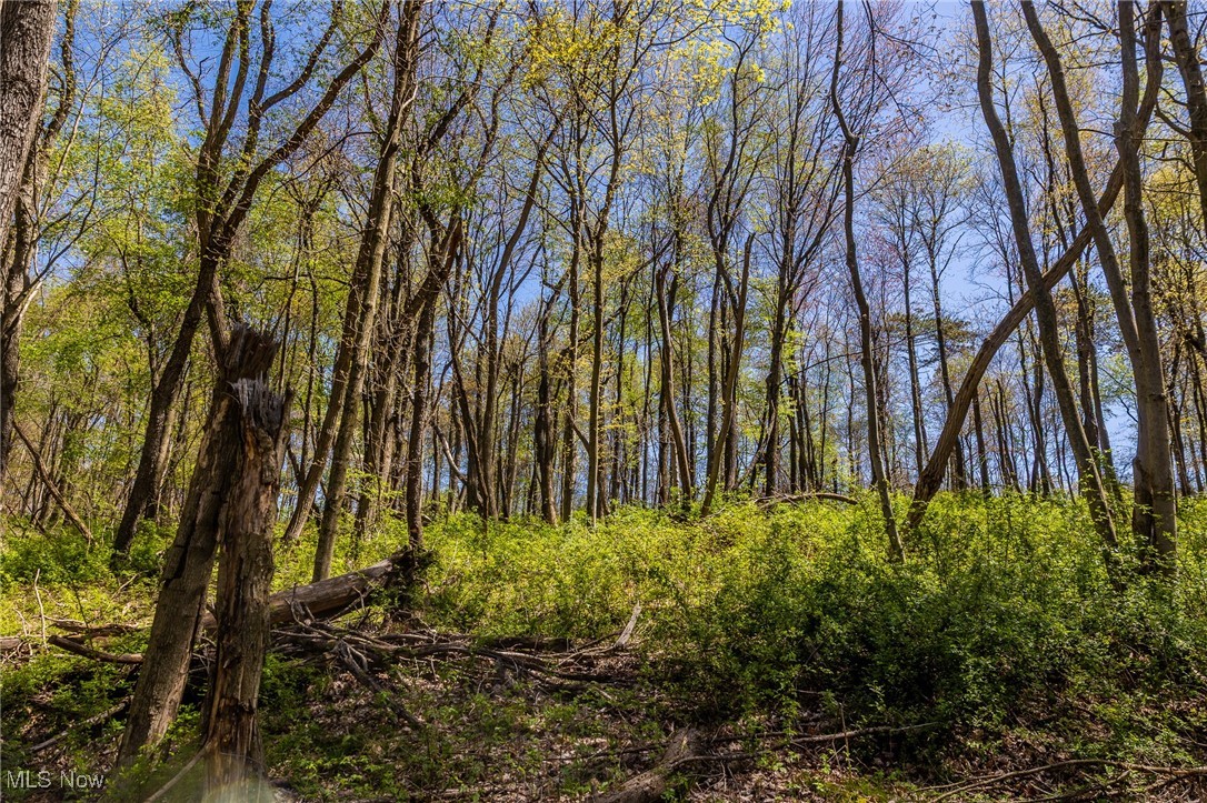 2376 Township Road 1025, Perrysville, Ohio image 38