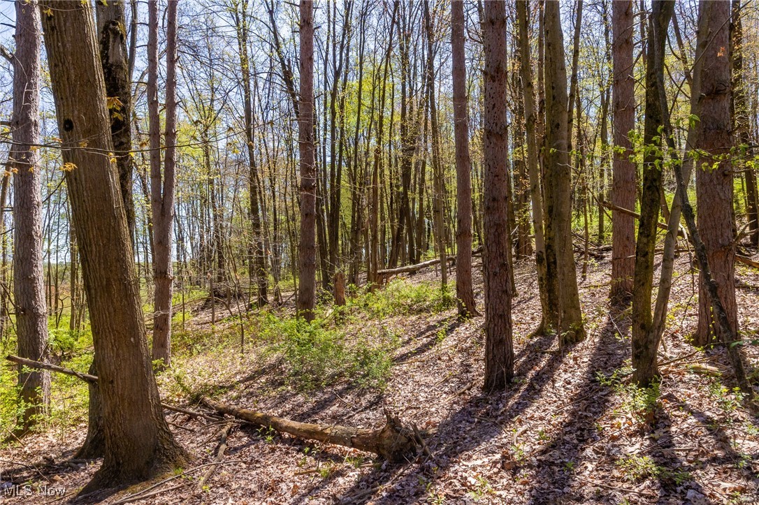 2376 Township Road 1025, Perrysville, Ohio image 9