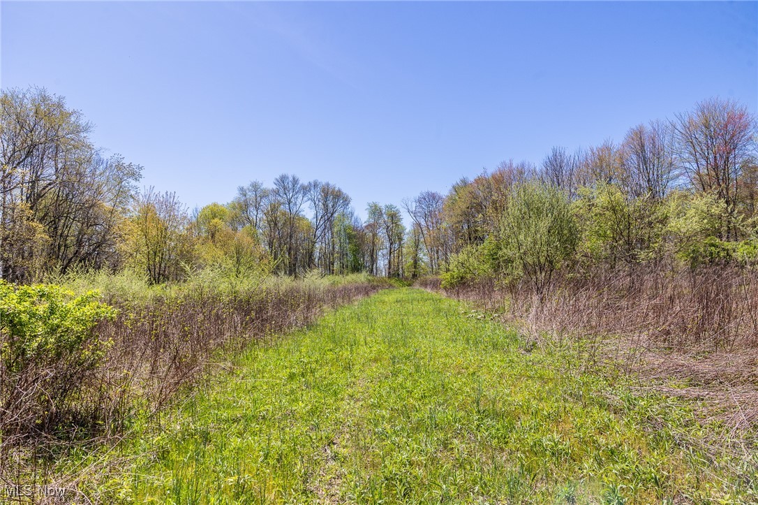 2376 Township Road 1025, Perrysville, Ohio image 20