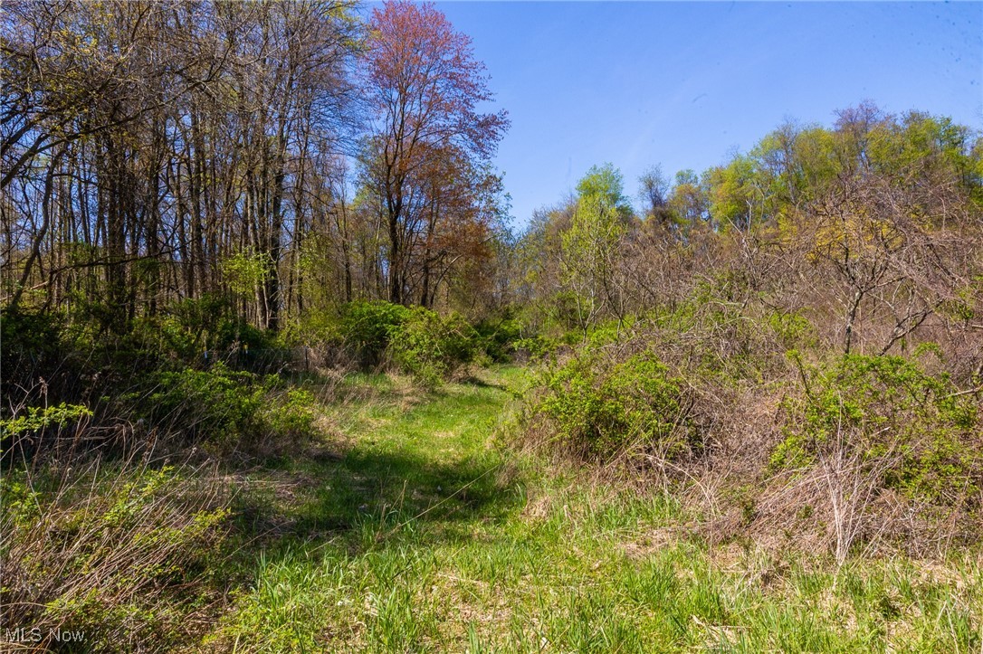 2376 Township Road 1025, Perrysville, Ohio image 7