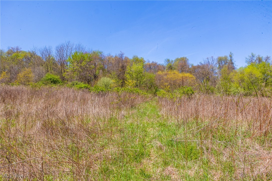 2376 Township Road 1025, Perrysville, Ohio image 4