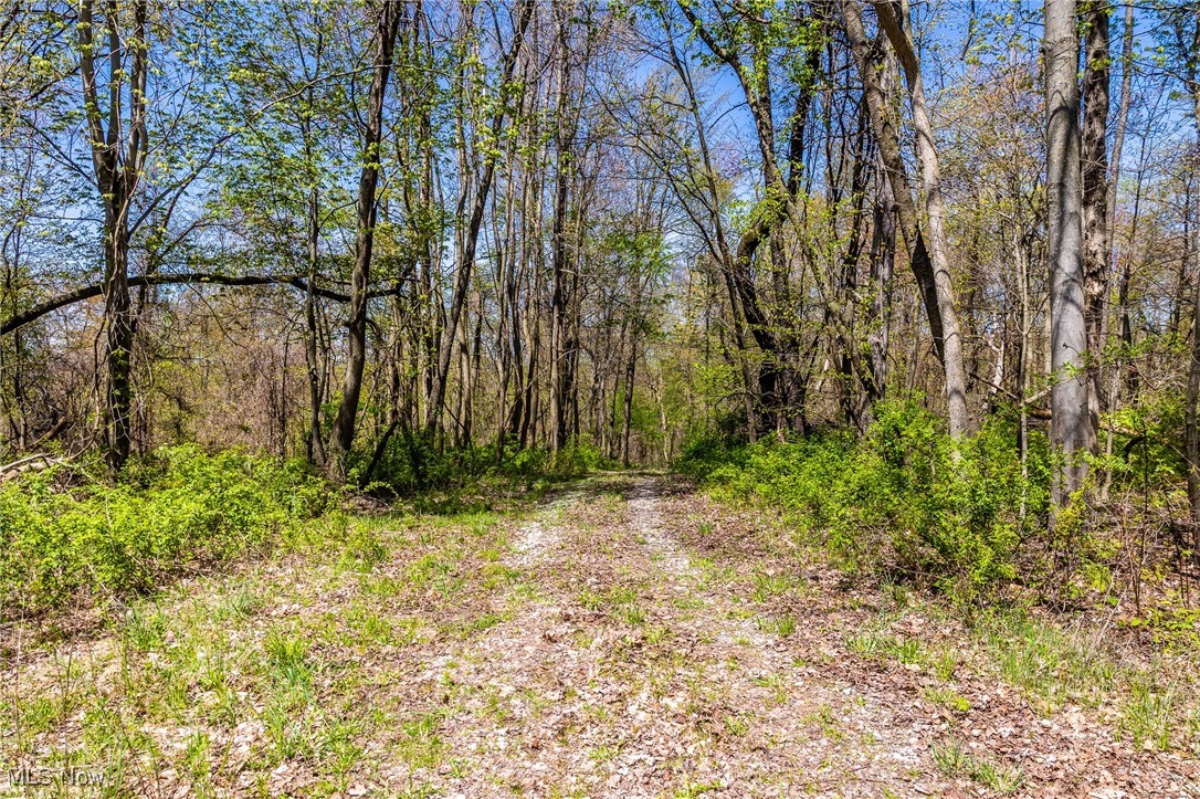 2376 Township Road 1025, Perrysville, Ohio image 32