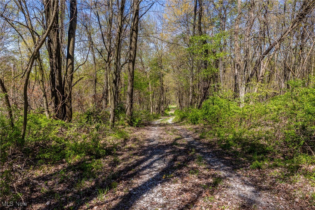 2376 Township Road 1025, Perrysville, Ohio image 33