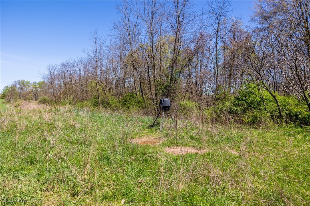 2376 Township Road 1025, Perrysville, Ohio image 31