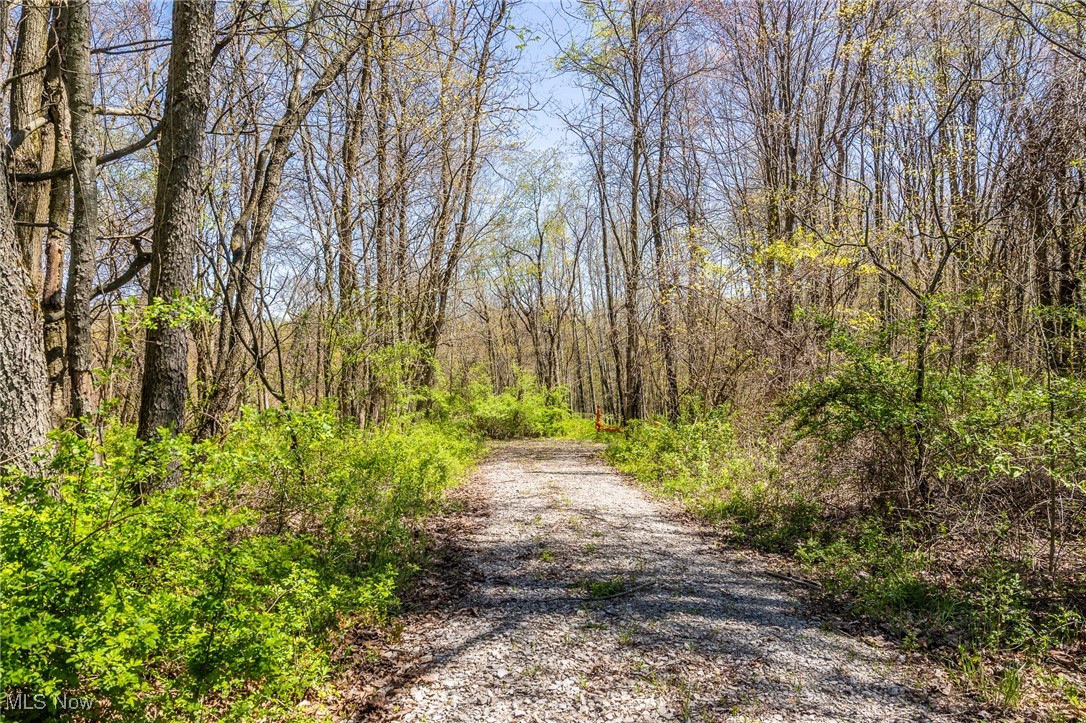 2376 Township Road 1025, Perrysville, Ohio image 27