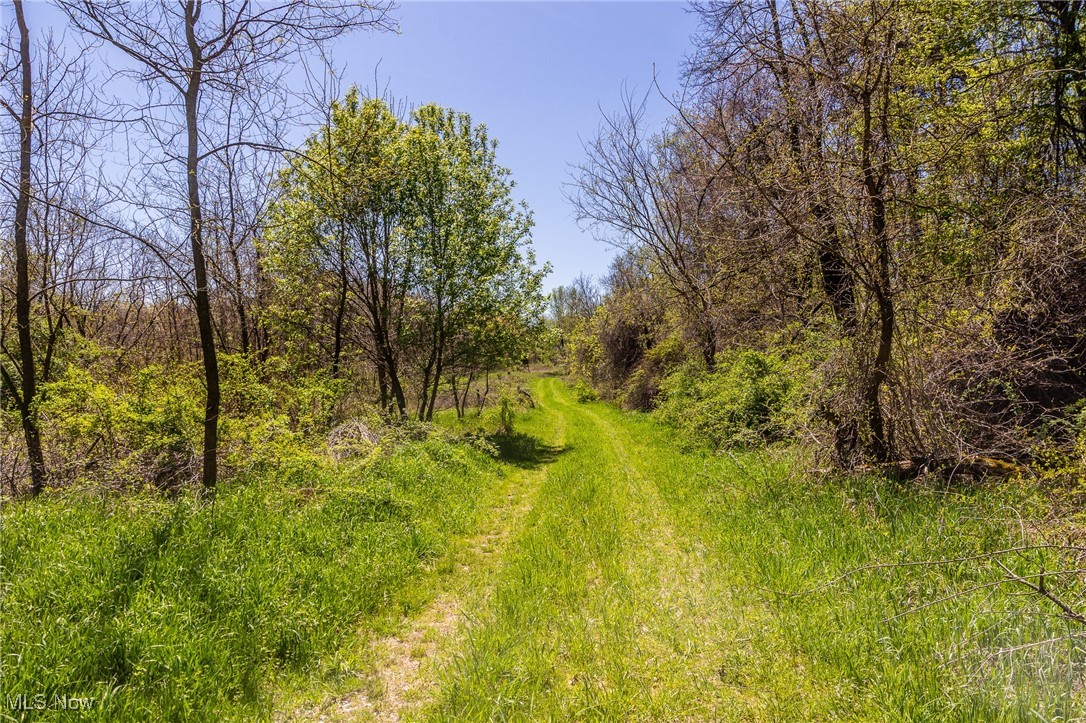 2376 Township Road 1025, Perrysville, Ohio image 42