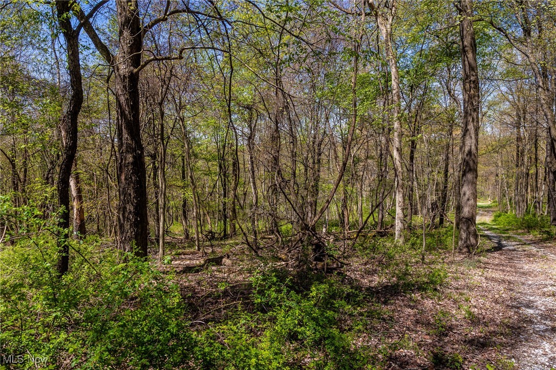 2376 Township Road 1025, Perrysville, Ohio image 34