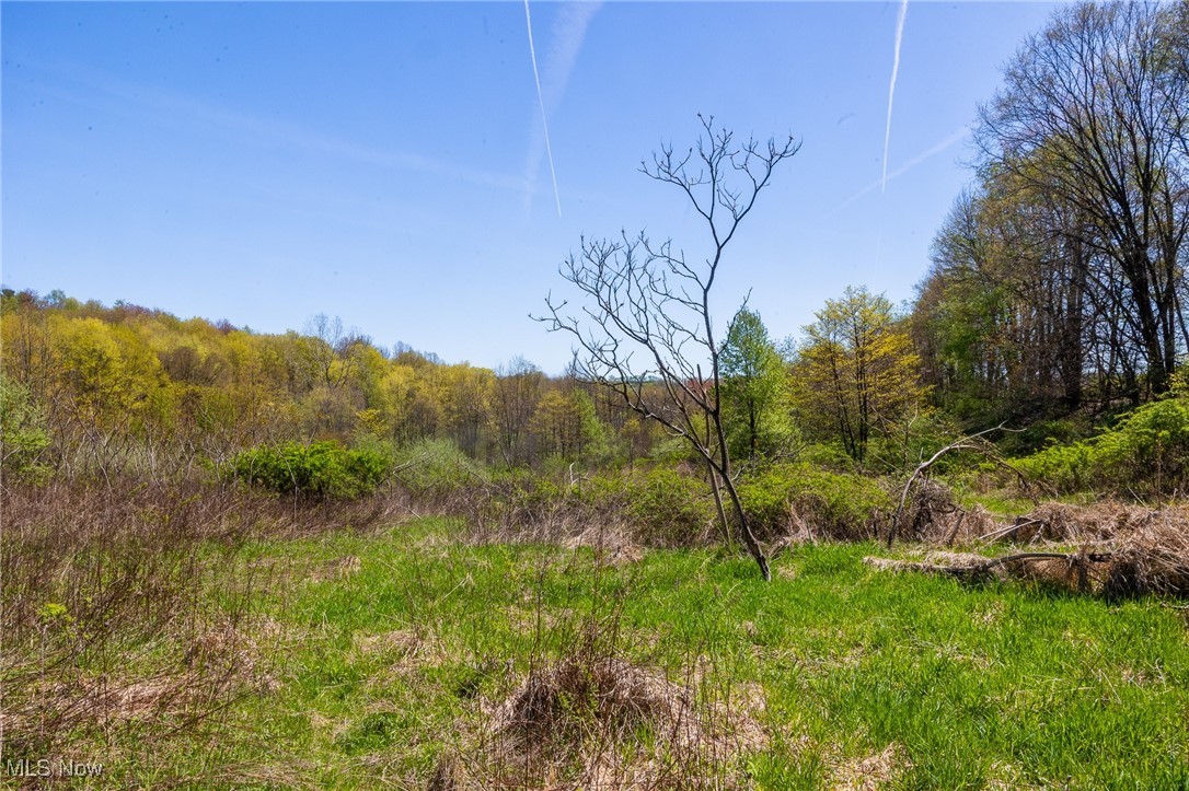 2376 Township Road 1025, Perrysville, Ohio image 6