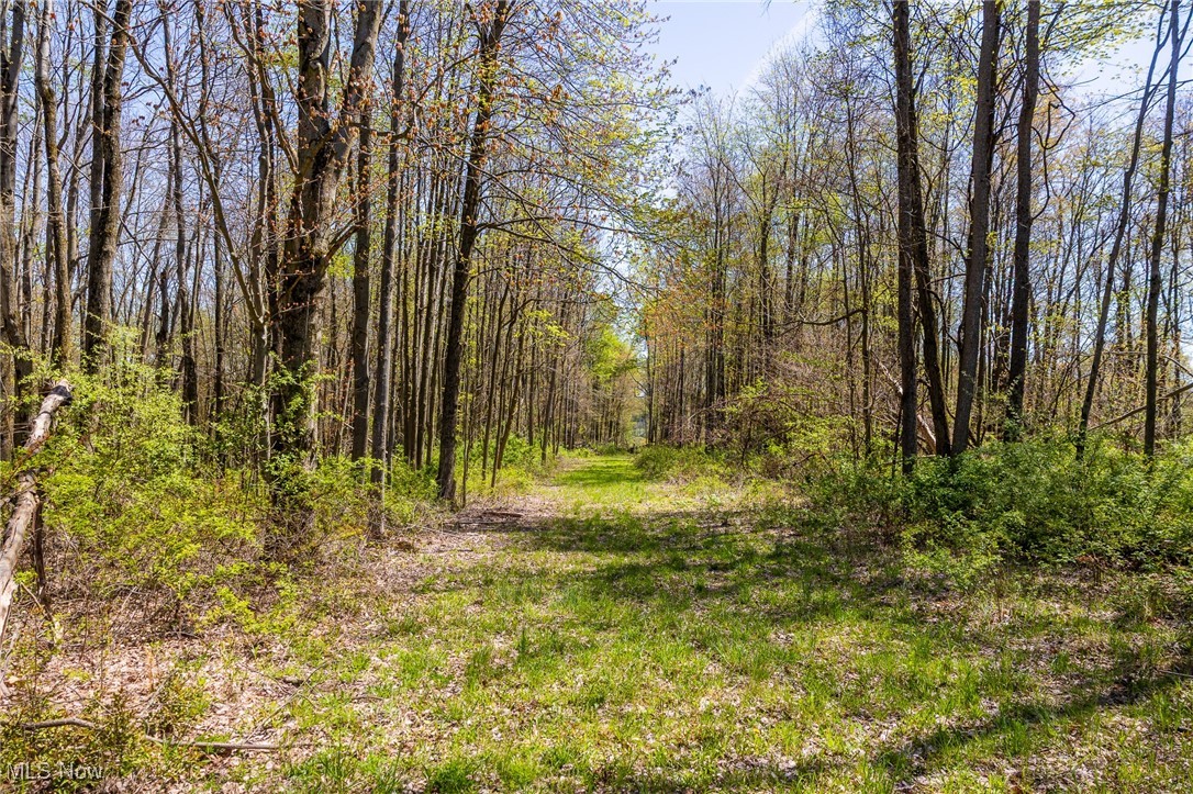 2376 Township Road 1025, Perrysville, Ohio image 18