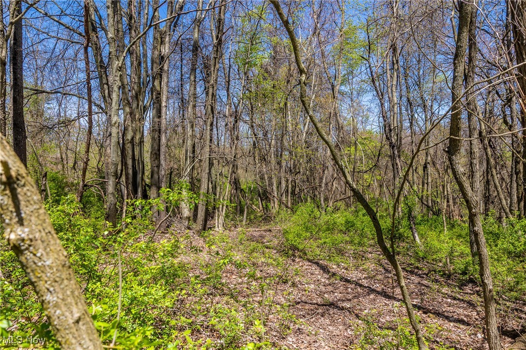 2376 Township Road 1025, Perrysville, Ohio image 29