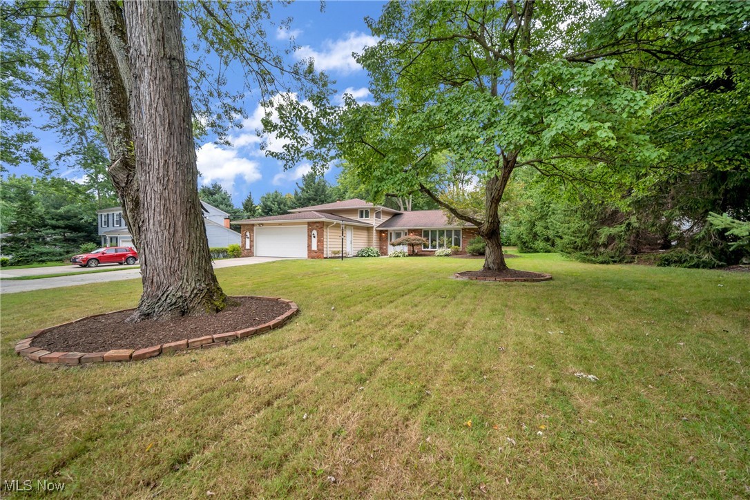 Carriage Park - Residential