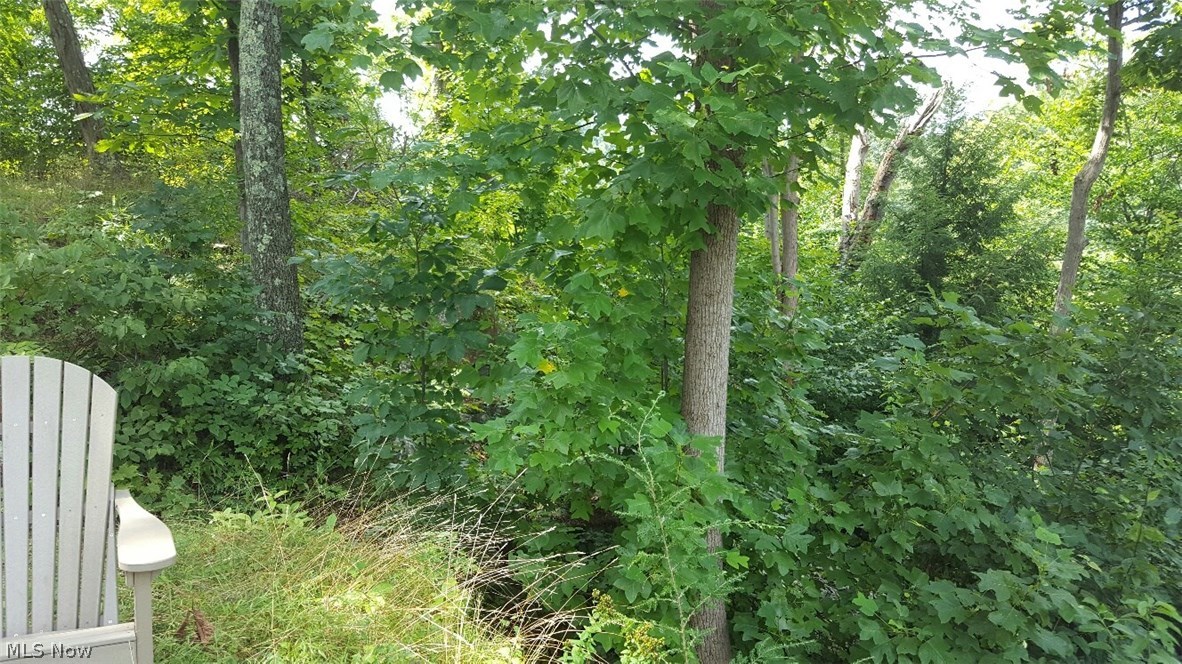 Old 07 Ranges Surv - Land