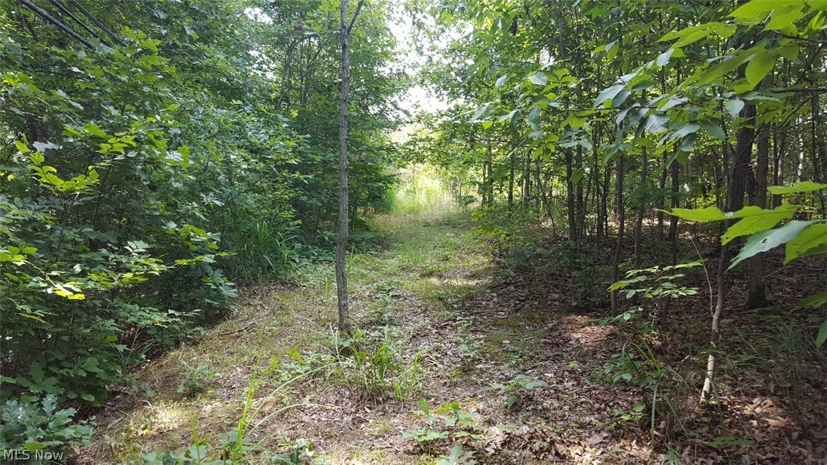 Old 07 Ranges Surv - Land