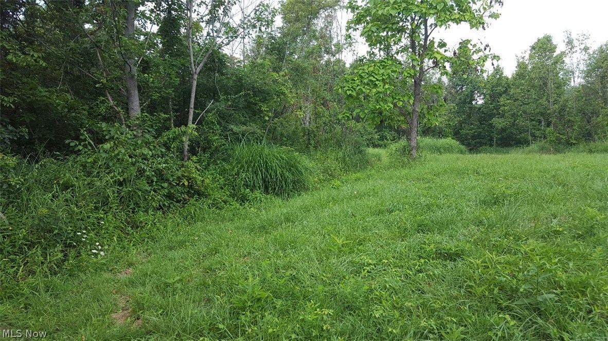 Old 07 Ranges Surv - Land