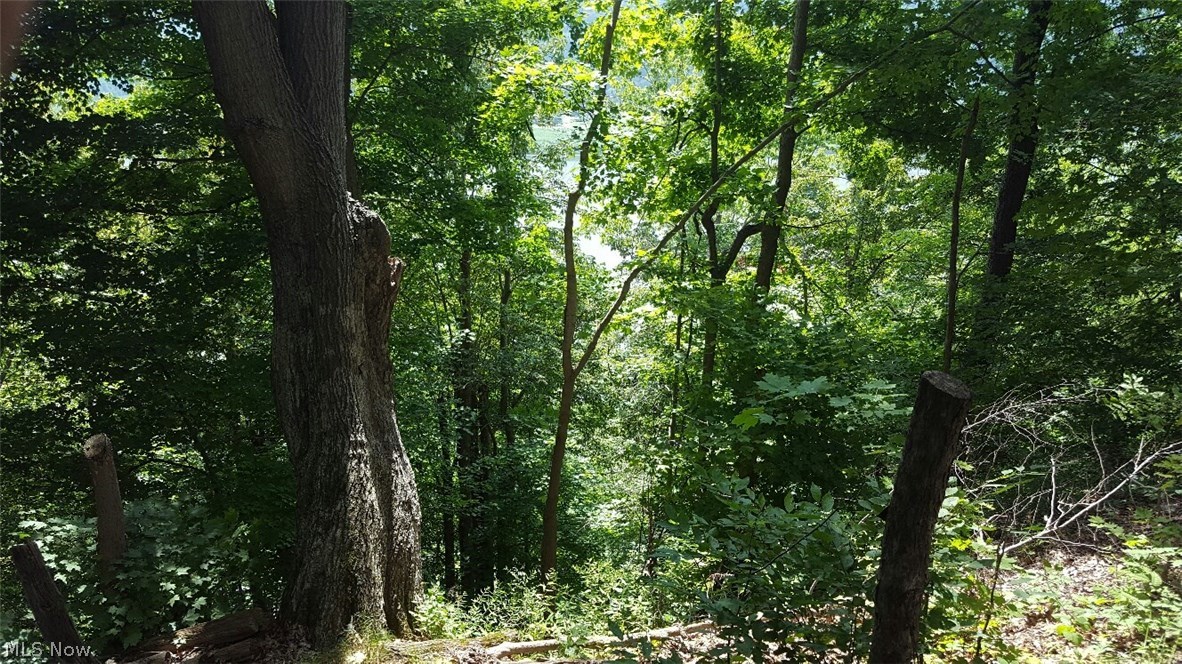 Old 07 Ranges Surv - Land