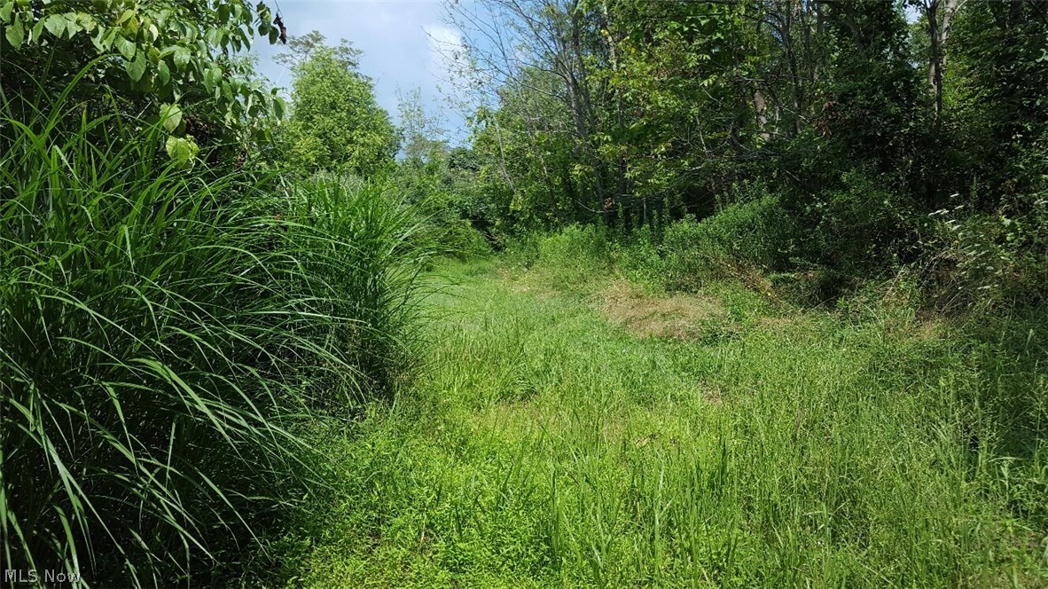 Old 07 Ranges Surv - Land