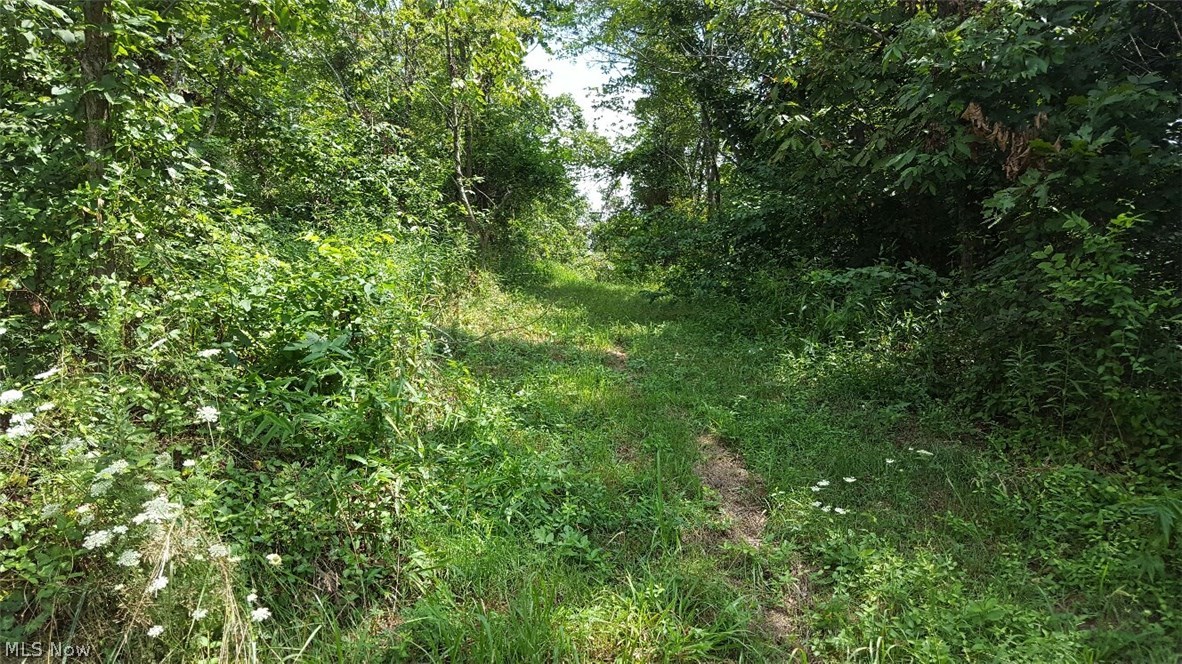 Old 07 Ranges Surv - Land