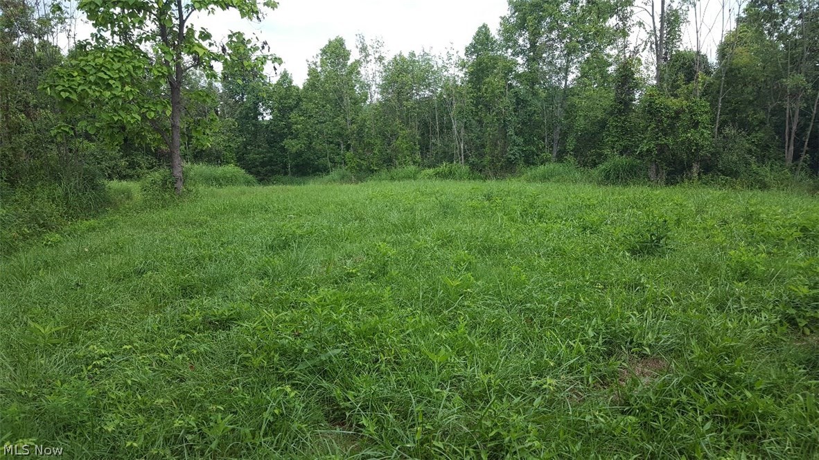 Old 07 Ranges Surv - Land