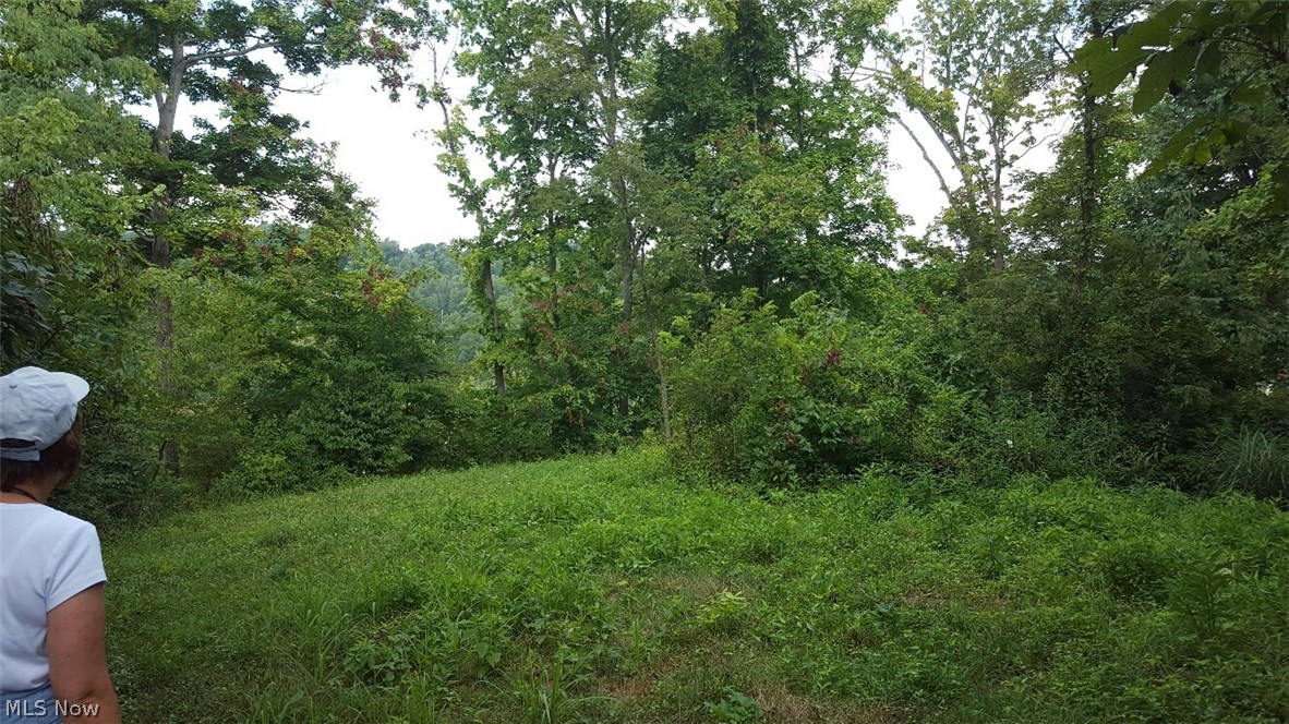 Old 07 Ranges Surv - Land