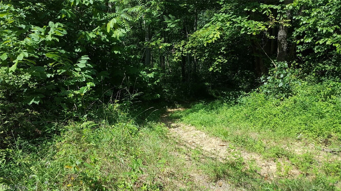 Old 07 Ranges Surv - Land