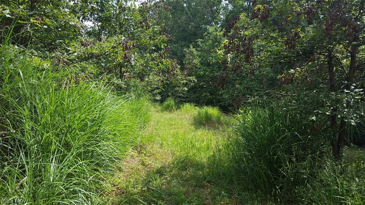 Old 07 Ranges Surv - Land