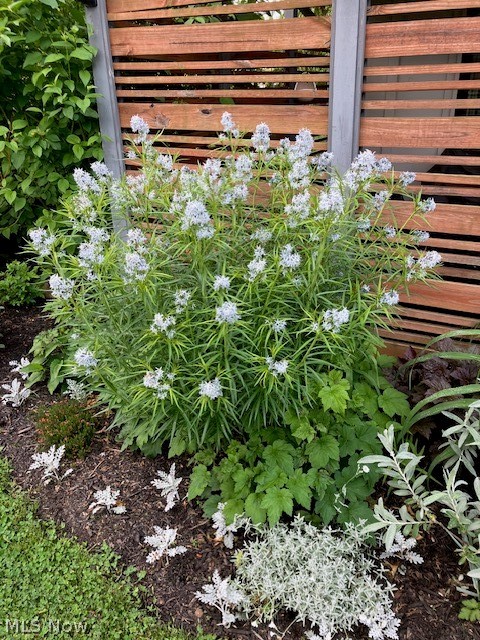 Dover Bay - Residential