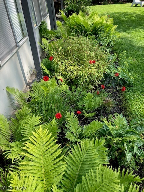 Dover Bay - Residential